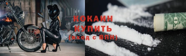 mdpv Дмитриев