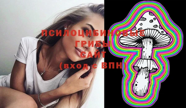 таблы Гусев