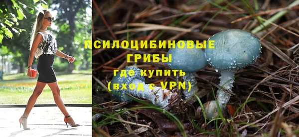 mdpv Дмитриев