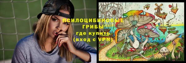 mdpv Дмитриев