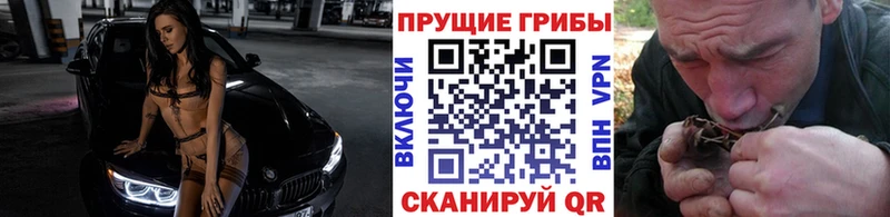 купить наркотик  Заозёрск  Галлюциногенные грибы ЛСД 