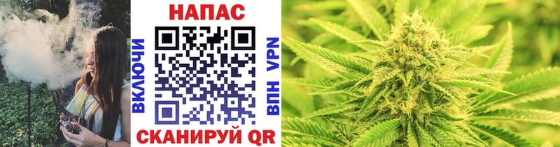 Шишки марихуана SATIVA & INDICA  купить   блэк спрут ССЫЛКА  Заозёрск 